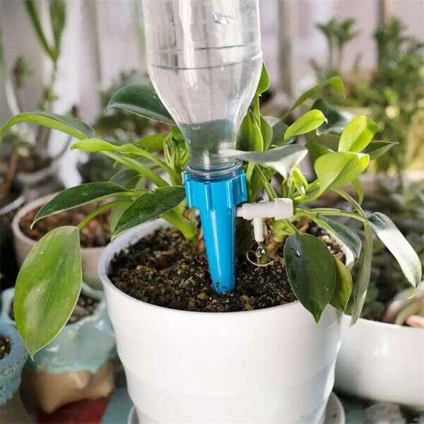 Druppelsysteem voor planten - Set van 12