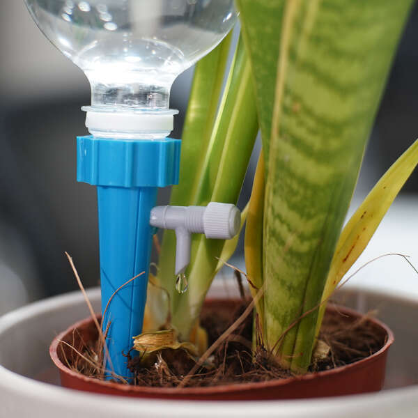 Druppelsysteem voor planten - Set van 12