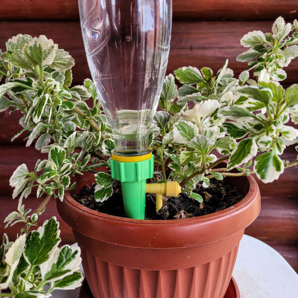 Druppelsysteem voor planten - Set van 12